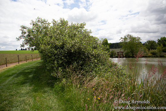 D & D Grass Seed Farm Home on Lake