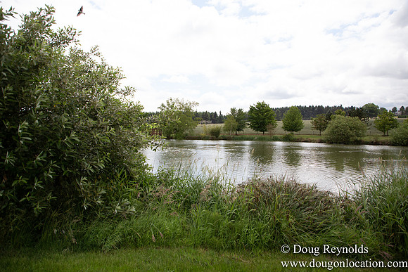 D & D Grass Seed Farm Home on Lake