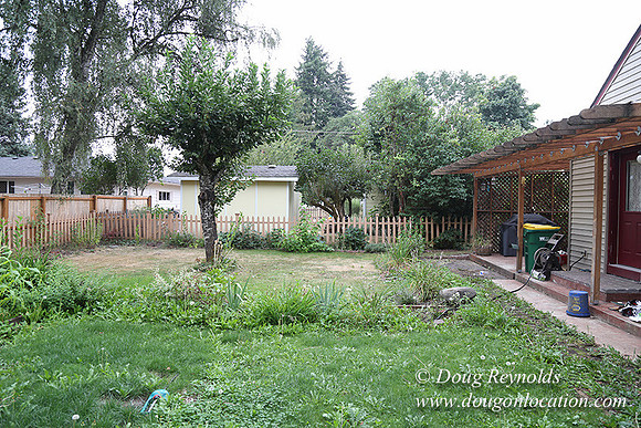 Jeramiah's Backyard-1650