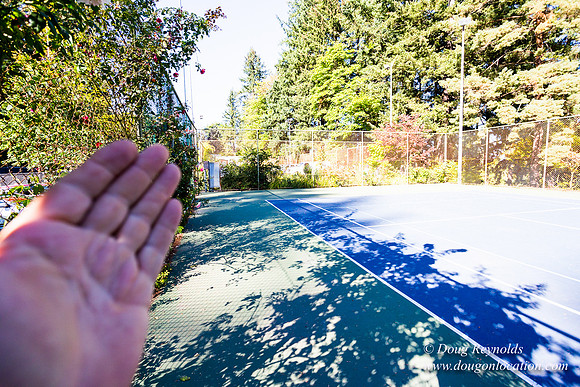 Washington Park Tennis Courts
