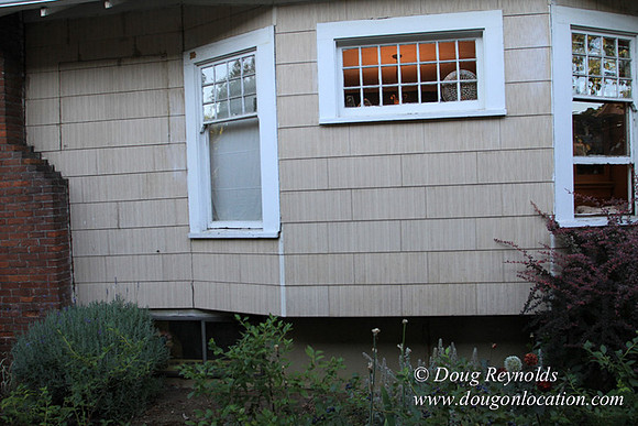 Home" Bungalow, Bee's Back yard Chickens, Small,