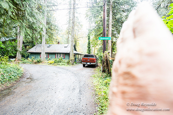 Collins Cabin