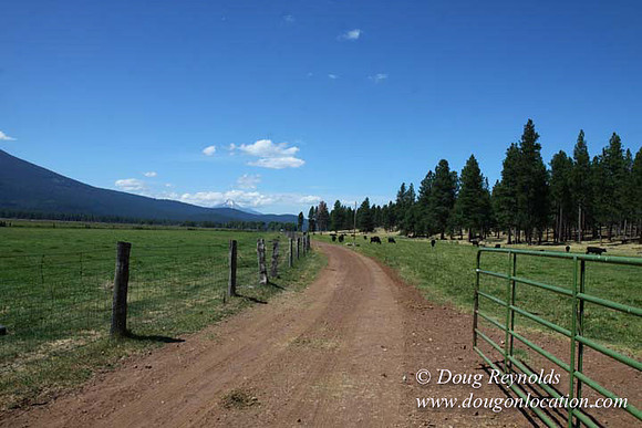 2500 Acres of green fields Creeks water crossing Bridges on a Large Lake and miles of Dirt roads Oak trees Forest land ATV Trails cows