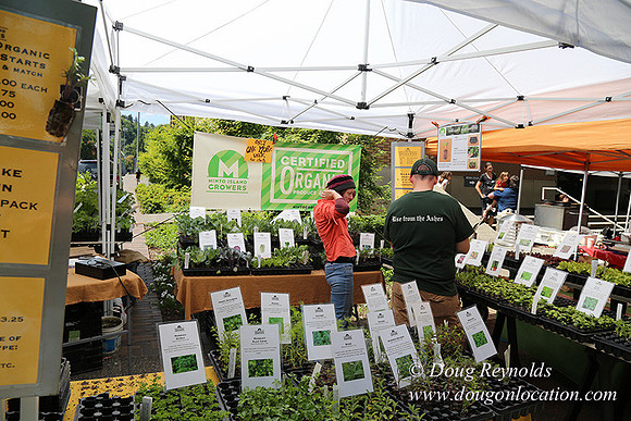 Portland PSU Farmers Mkt-5843