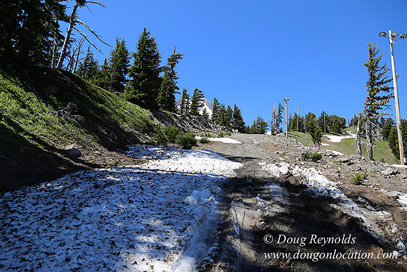 Medow's Snow-5761