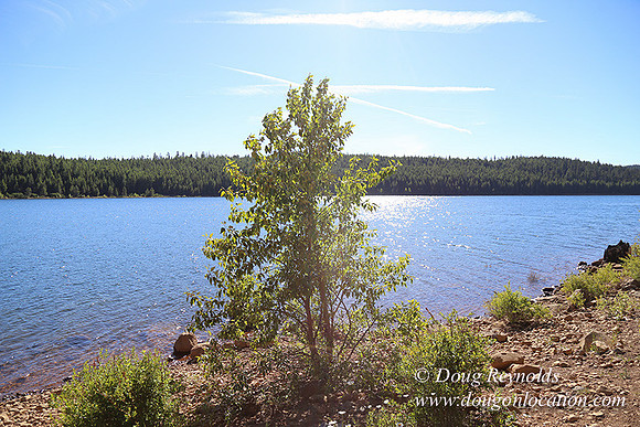 Clear Lake-3618