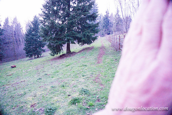 Adams Farm-3107