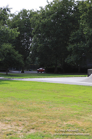 FG Skate Park Play