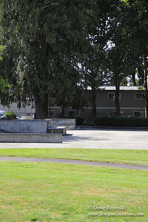 FG Skate Park Play