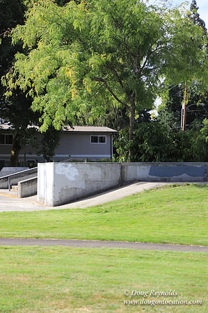 FG Skate Park Play