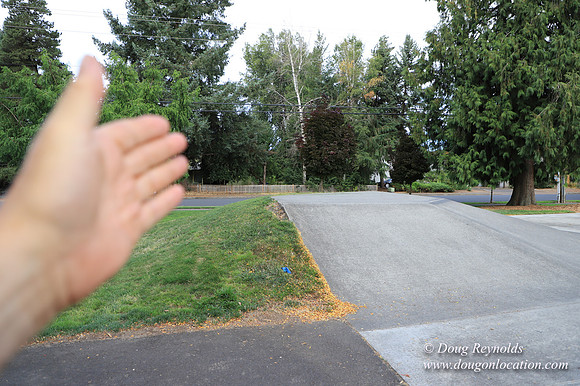 FG Skate Park Play