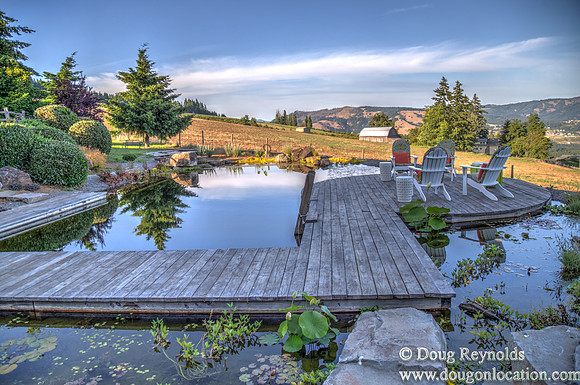 Dampier Vineyards Pool