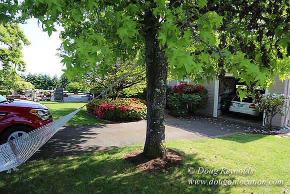 Marks House-6928
