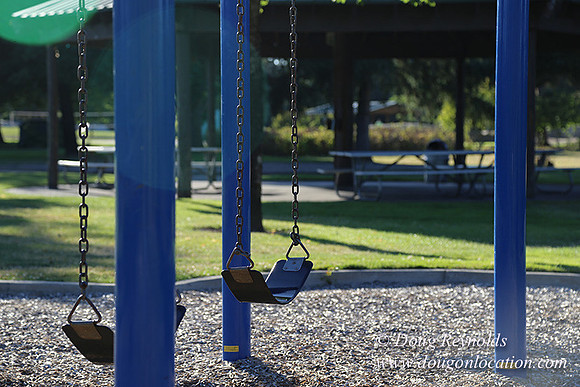 Lincoln Park-0655