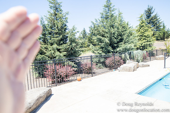 Daniel Swimming Pool