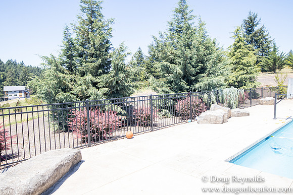 Daniel Swimming Pool