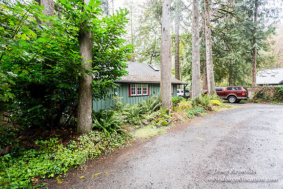 Collins Cabin