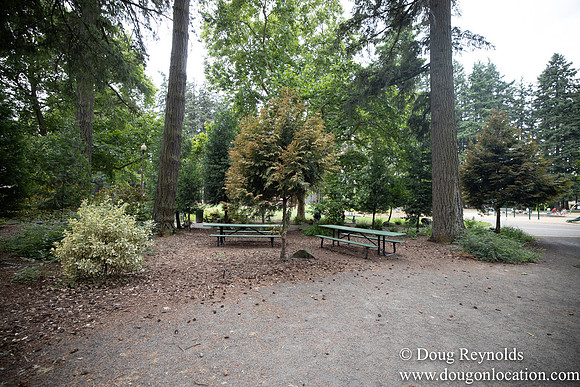 Hillsboro Shute Park