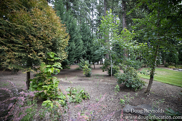 Hillsboro Shute Park