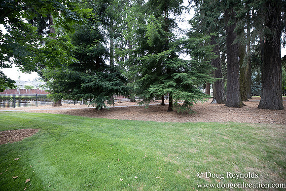 Hillsboro Shute Park