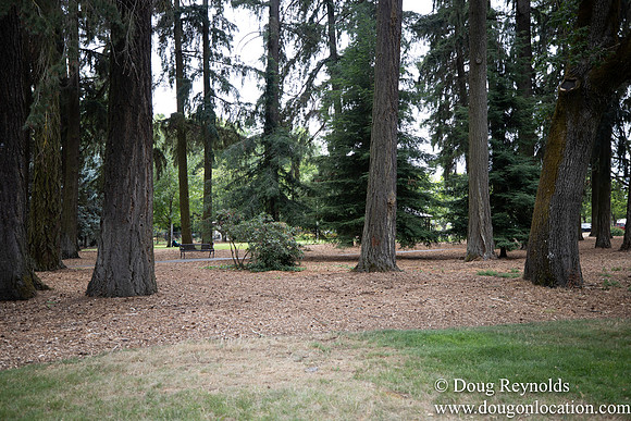 Hillsboro Shute Park
