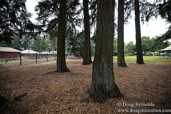 Hillsboro Shute Park