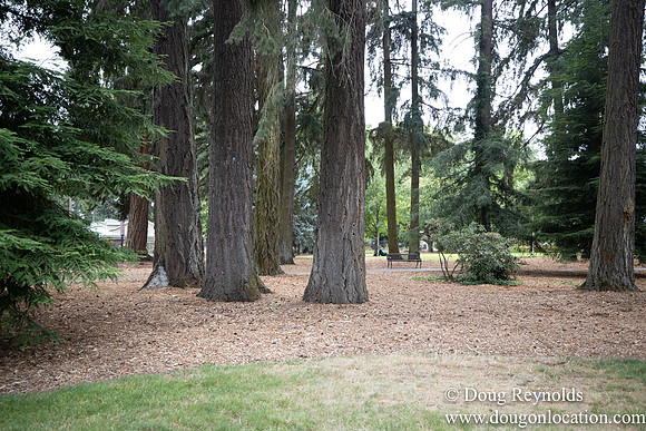 Hillsboro Shute Park