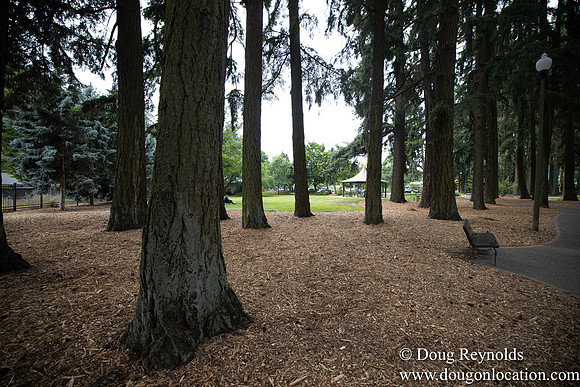 Hillsboro Shute Park