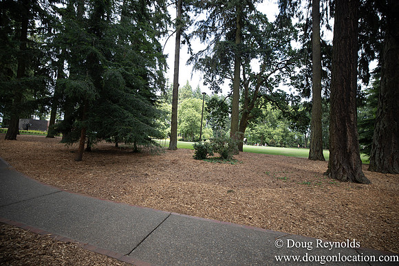 Hillsboro Shute Park