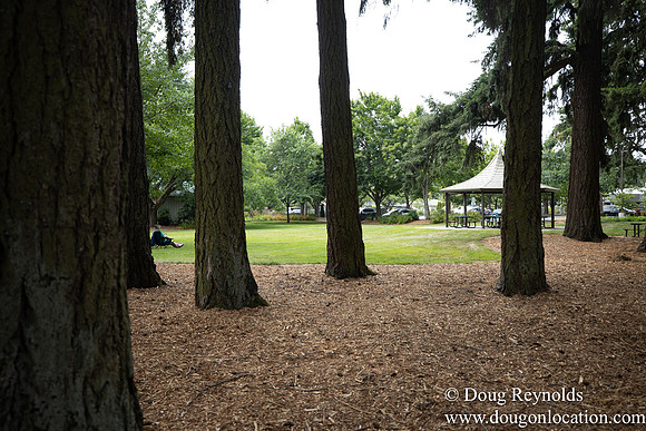 Hillsboro Shute Park