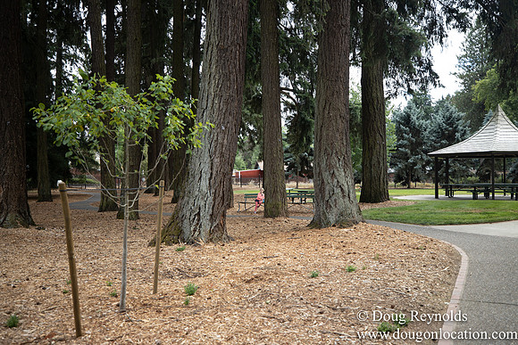 Hillsboro Shute Park