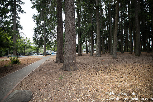 Hillsboro Shute Park