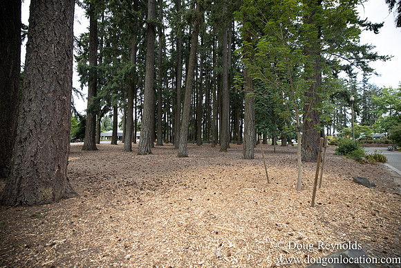 Hillsboro Shute Park