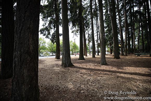 Hillsboro Shute Park