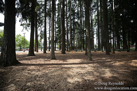 Hillsboro Shute Park