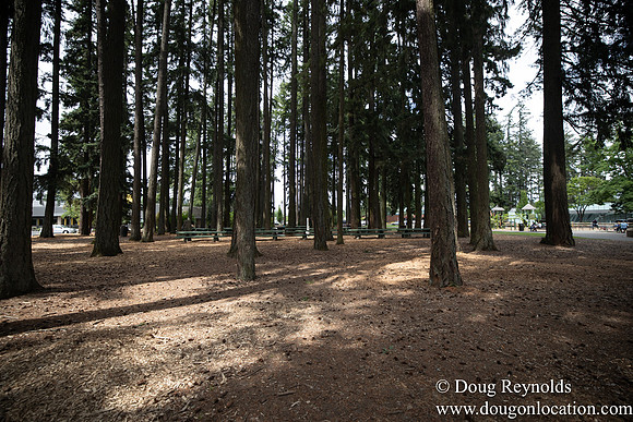 Hillsboro Shute Park