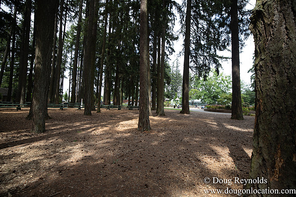 Hillsboro Shute Park