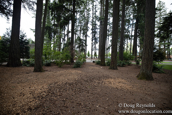 Hillsboro Shute Park