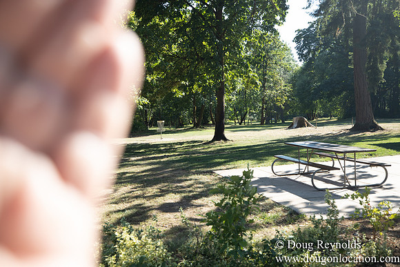 McCormick Park