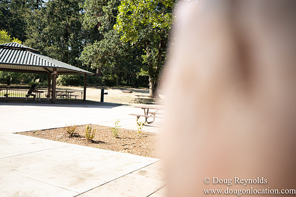 McCormick Park