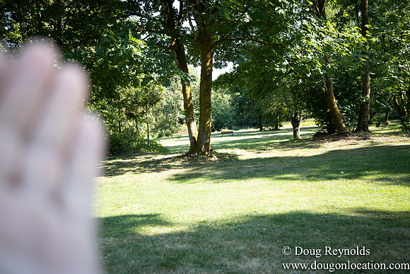McCormick Park
