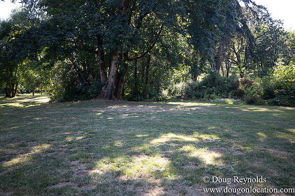 McCormick Park