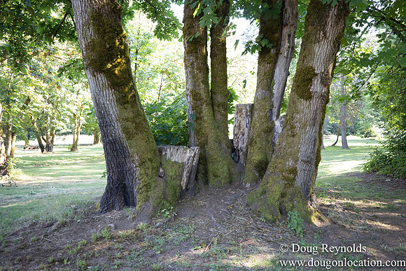 McCormick Park