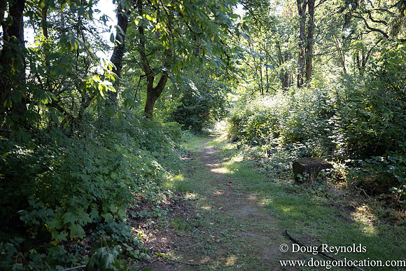 McCormick Park
