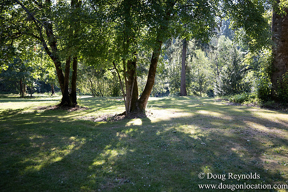 McCormick Park