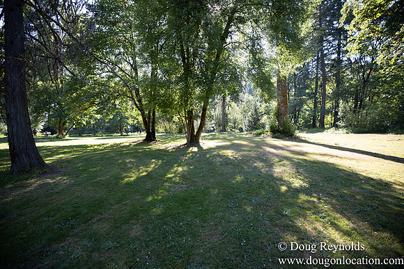 McCormick Park