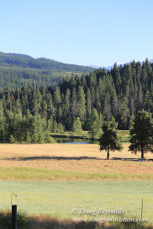 Elk Haven Ranch-8583