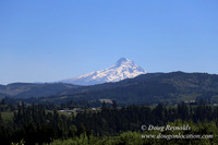 Portland Dr HdRv-8189