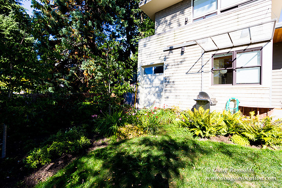 Jenx Back Yard