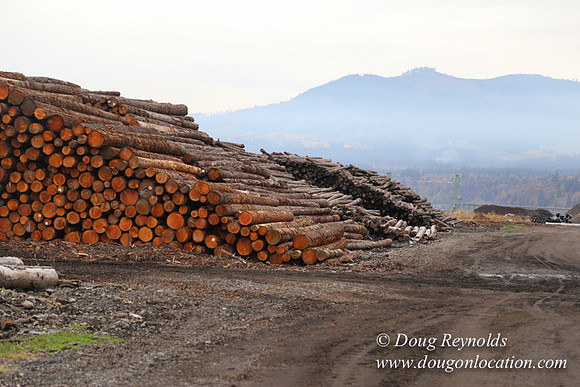 SDS Lumber-1444
